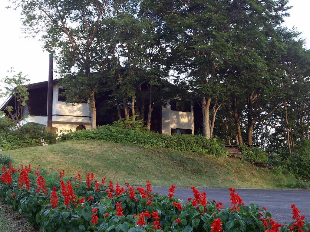 Villa Alp Bach Madarao Iiyama Exterior foto